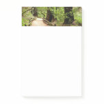 Muir Woods Path II Nature Photography Post-it Notes