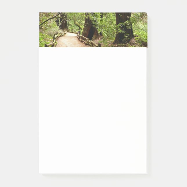 Muir Woods Path II Nature Photography Post-it Notes (Front)