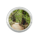 Muir Woods Path II Nature Photography Ring