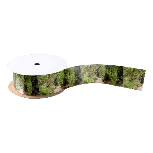 Muir Woods Path II Nature Photography Satin Ribbon (Spool)