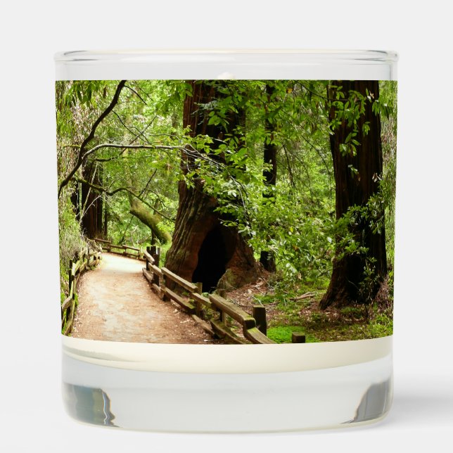 Muir Woods Path II Nature Photography Scented Candle (Front)