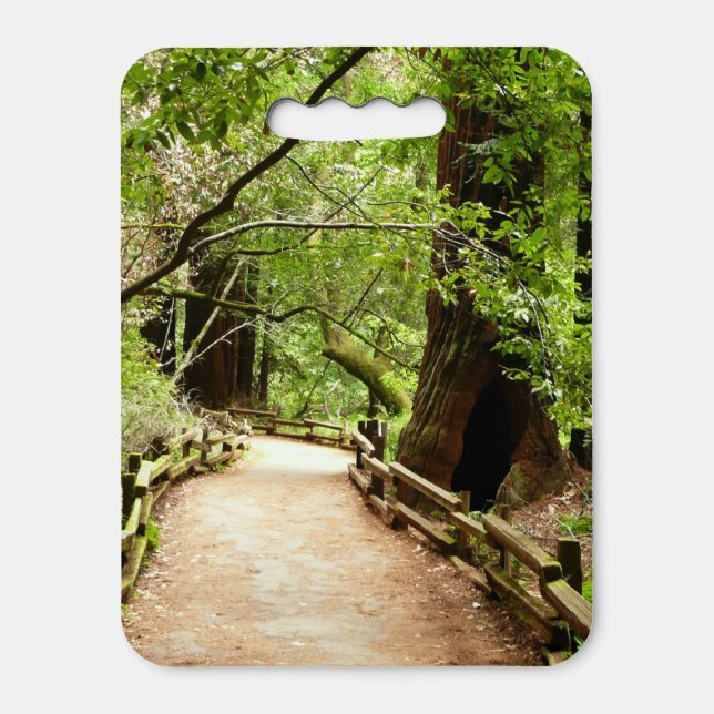 Muir Woods Path II Nature Photography Seat Cushion (Front Vertical)