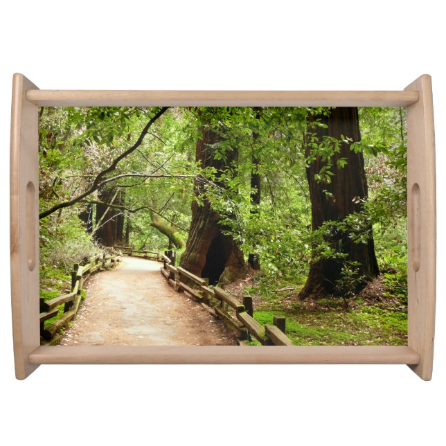 Muir Woods Path II Nature Photography Serving Tray (Front)