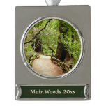 Muir Woods Path II Nature Photography Silver Plated Banner Ornament