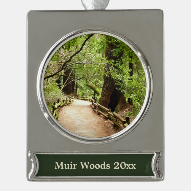 Muir Woods Path II Nature Photography Silver Plated Banner Ornament (Front)