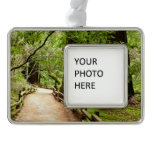 Muir Woods Path II Nature Photography Silver Plated Framed Ornament