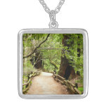 Muir Woods Path II Nature Photography Silver Plated Necklace