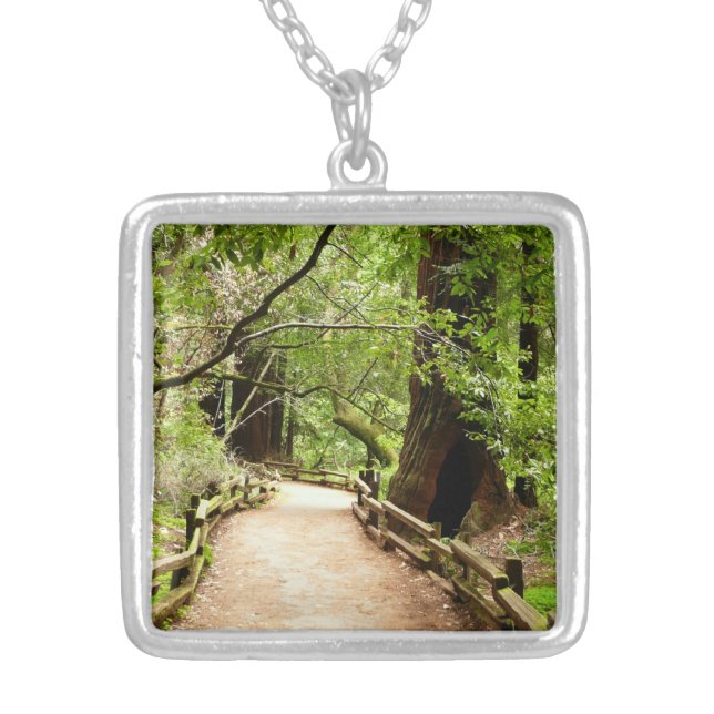 Muir Woods Path II Nature Photography Silver Plated Necklace (Front)