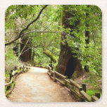 Muir Woods Path II Nature Photography Square Paper Coaster