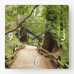 Muir Woods Path II Nature Photography Square Wall Clock