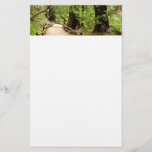 Muir Woods Path II Nature Photography Stationery