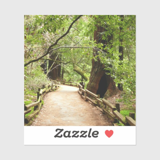 Muir Woods Path II Nature Photography Sticker (Sheet)