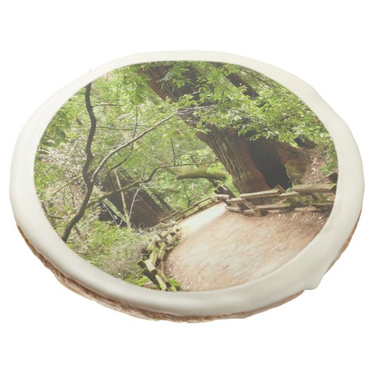 Muir Woods Path II Nature Photography Sugar Cookie (Angled)