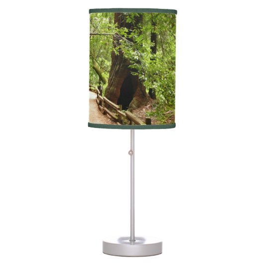 Muir Woods Path II Nature Photography Table Lamp (Front)