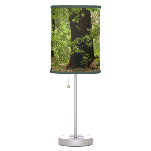 Muir Woods Path II Nature Photography Table Lamp (Right)