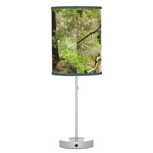 Muir Woods Path II Nature Photography Table Lamp (Back)