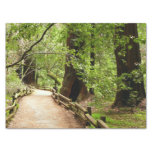 Muir Woods Path II Nature Photography Tissue Paper