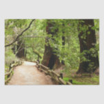Muir Woods Path II Nature Photography Tissue Paper