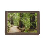 Muir Woods Path II Nature Photography Trifold Wallet