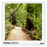 Muir Woods Path II Nature Photography Wall Sticker