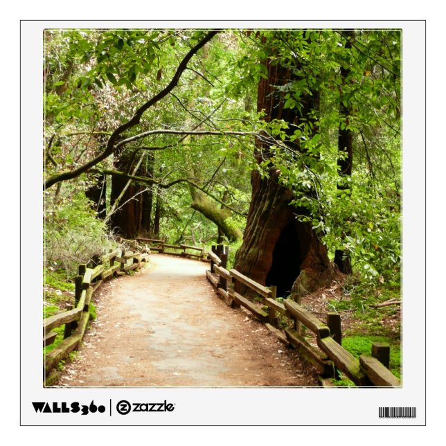 Muir Woods Path II Nature Photography Wall Sticker (Front)