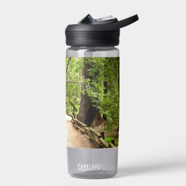 Muir Woods Path II Nature Photography Water Bottle (Left)