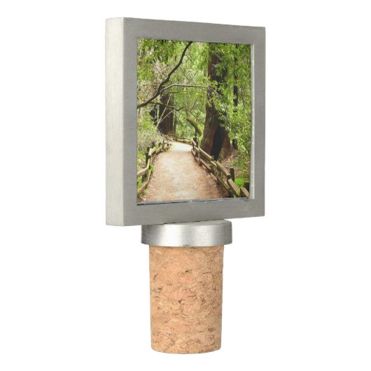 Muir Woods Path II Nature Photography Wine Stopper (Angled)
