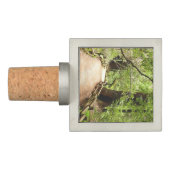 Muir Woods Path II Nature Photography Wine Stopper (Sideways)