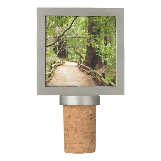 Muir Woods Path II Nature Photography Wine Stopper (Front)