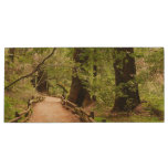 Muir Woods Path II Nature Photography Wood Flash Drive
