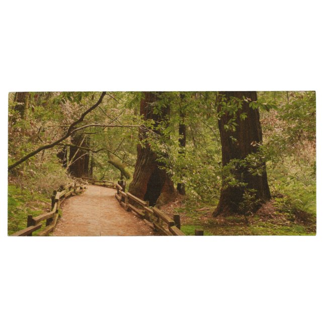 Muir Woods Path II Nature Photography Wood Flash Drive (Back)