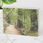Muir Woods Path II Nature Photography Wooden Box Sign