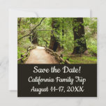 Muir Woods Path II Nature Save the Date