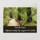 Muir Woods Path II Nature Save the Date Postcard