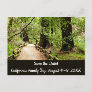Muir Woods Path II Nature Save the Date Postcard