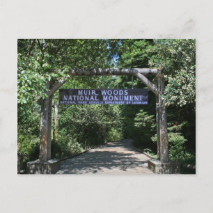 Muir Woods Post Card