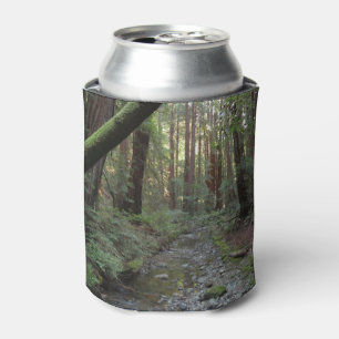 Muir Woods Stream Forest Landscape Can Cooler