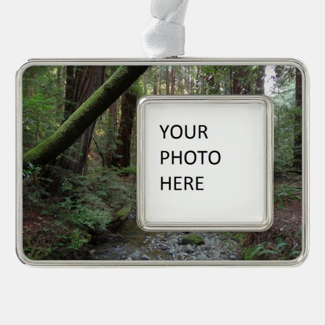 Muir Woods Stream Forest Landscape Christmas Ornament (Front)