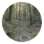 Muir Woods Stream Forest Landscape Classic Round Sticker