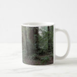 Muir Woods Stream Forest Landscape Coffee Mug