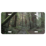 Muir Woods Stream Forest Landscape License Plate