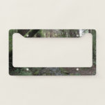 Muir Woods Stream Forest Landscape License Plate Frame at Zazzle