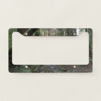 Muir Woods Stream Forest Landscape License Plate Frame by mlewallpapers at Zazzle