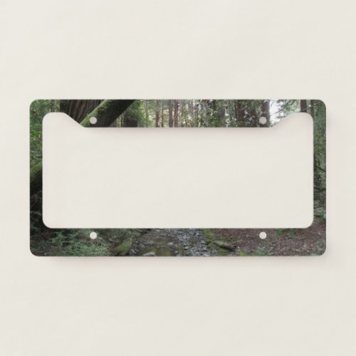 Muir Woods Stream Forest Landscape License Plate Frame