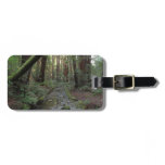 Muir Woods Stream Forest Landscape Luggage Tag