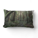 Muir Woods Stream Forest Landscape Lumbar Pillow