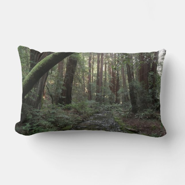 Muir Woods Stream Forest Landscape Lumbar Pillow (Front)
