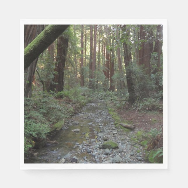 Muir Woods Stream Forest Landscape Napkins (Front)