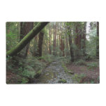 Muir Woods Stream Forest Landscape Placemat