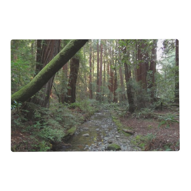 Muir Woods Stream Forest Landscape Placemat (Front)